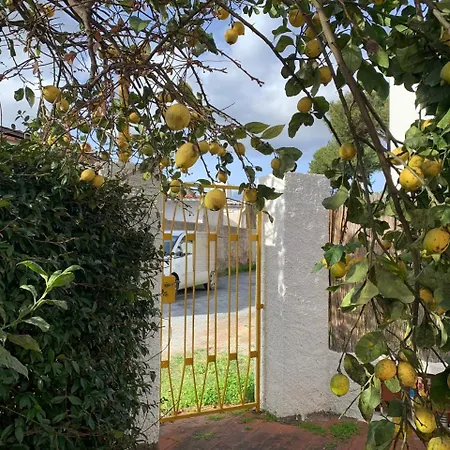 Holiday home Gialla Iun Q5511