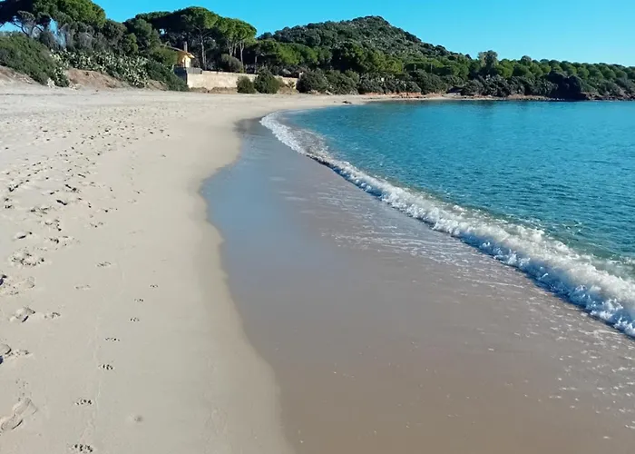 Gialla - Il Mare A Due Passi * 普拉