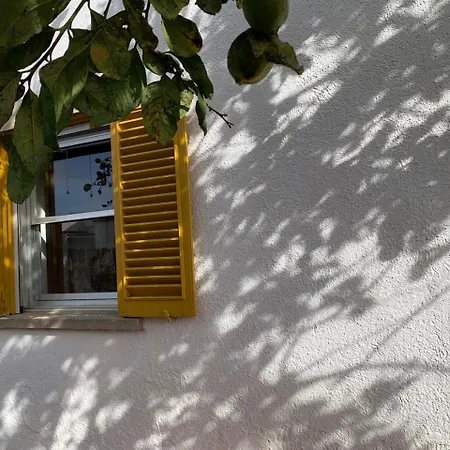 Gialla - Il Mare A Due Passi *