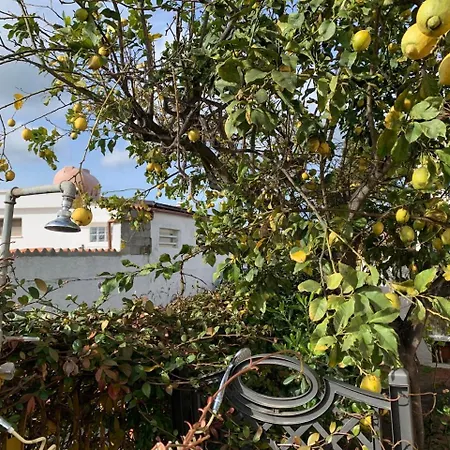 Gialla - Il Mare A Due Passi