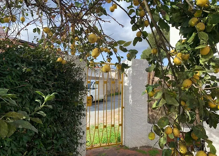 Vakantiehuis Gialla - Il Mare A Due Passi